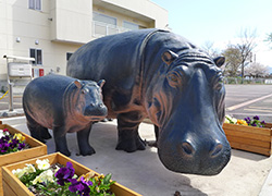 �g�b�v�y�[�W�摜